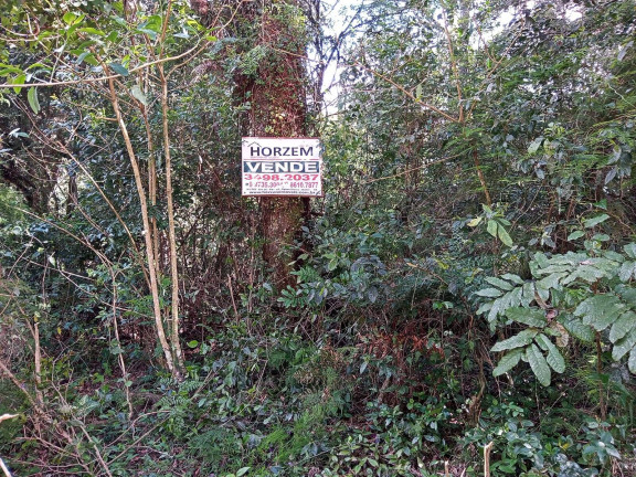 Terreno à Venda, 1.350 m² em águas Claras - Viamão