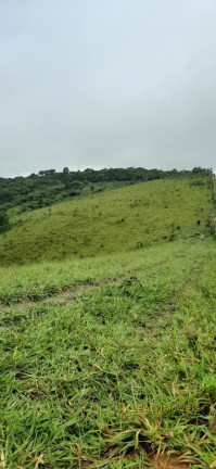 Imagem Imóvel à Venda, em Sairé - Sairé Imagem Imóvel à Venda, em Sairé - Sairé