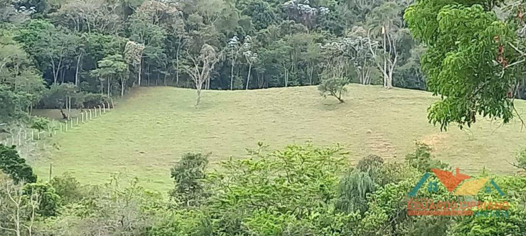 Imóvel à Venda, 31.000 m² em Capim Da Angola - Paraibuna
