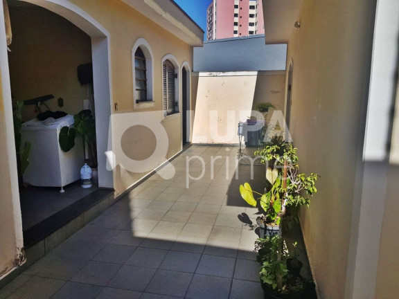 Imagem Casa com 3 Quartos à Venda, 220 m² em Vila Guilherme - São Paulo Imagem Casa com 3 Quartos à Venda, 220 m² em Vila Guilherme - São Paulo
