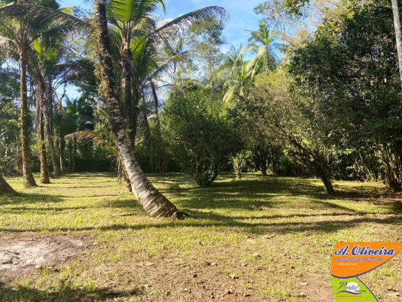 Imagem Chácara com 1 Quarto à Venda, 100 m² em Ubatumirim - Ubatuba