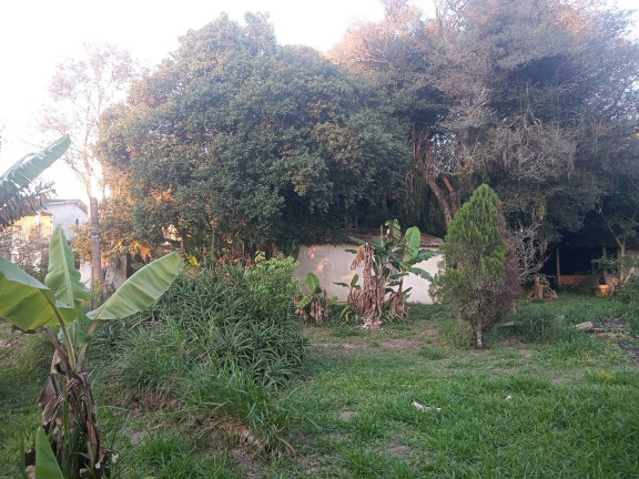 Imagem Casa com 3 Quartos à Venda, 2.400 m² em águas Claras - Viamão