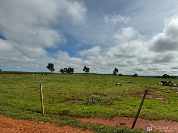 Imagem Imóvel à Venda, 1.800.900 m² em Centro - Carneirinho Imagem Imóvel à Venda, 1.800.900 m² em Centro - Carneirinho