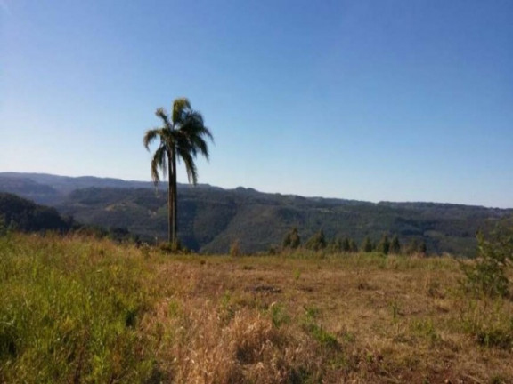 Imagem Terreno à Venda, 375 m² em Pinhal Alto - Nova Petrópolis Imagem Terreno à Venda, 375 m² em Pinhal Alto - Nova Petrópolis