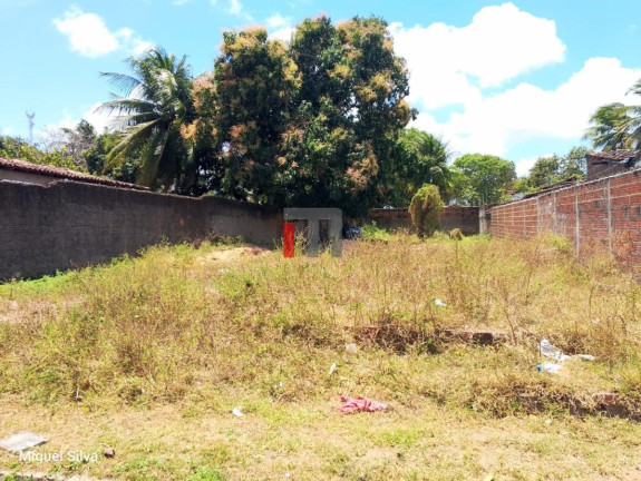 Imagem Terreno à Venda, 530 m² em São José - Macaíba Imagem Terreno à Venda, 530 m² em São José - Macaíba