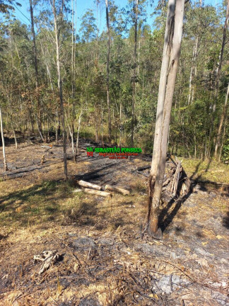 Imagem Chácara à Venda, 20.000 m² em Centro - Monteiro Lobato Imagem Chácara à Venda, 20.000 m² em Centro - Monteiro Lobato
