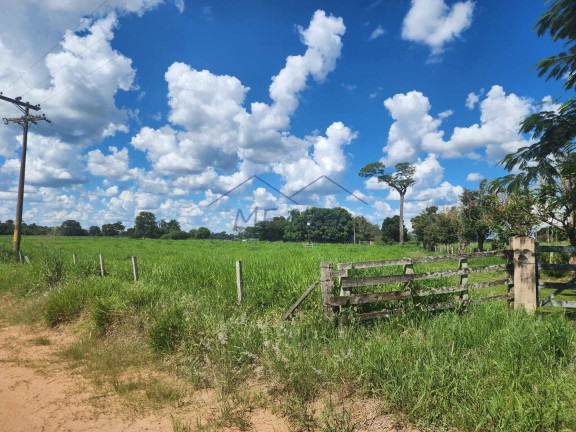 Imagem Fazenda à Venda, 9 m² em Santa Tereza - Pirassununga Imagem Fazenda à Venda, 9 m² em Santa Tereza - Pirassununga