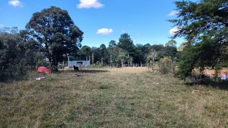 Imagem Fazenda à Venda, em Zona Rural (bugre) - Balsa Nova Imagem Fazenda à Venda, em Zona Rural (bugre) - Balsa Nova