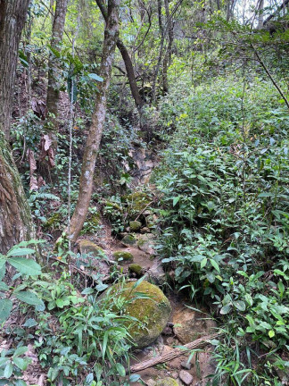 Imagem Terreno à Venda, 3 m² em Santa Terezinha De Minas - Itatiaiuçu