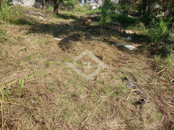 Imagem Ponto Comercial à Venda, 3.600 m² em Guaratiba - Rio De Janeiro Imagem Ponto Comercial à Venda, 3.600 m² em Guaratiba - Rio De Janeiro