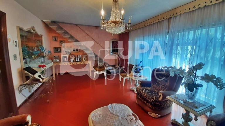 Imagem Casa com 3 Quartos para Alugar, 190 m² em Vila Guilherme - São Paulo Imagem Casa com 3 Quartos para Alugar, 190 m² em Vila Guilherme - São Paulo