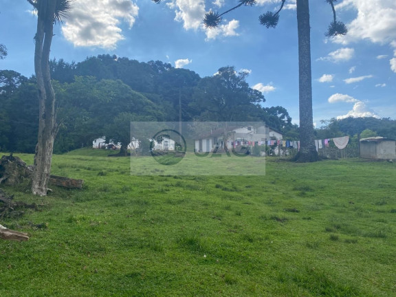 Imagem Imóvel com 6 Quartos à Venda, 3.000 m² em Distrito Industrial - Campina Grande Do Sul Imagem Imóvel com 6 Quartos à Venda, 3.000 m² em Distrito Industrial - Campina Grande Do Sul