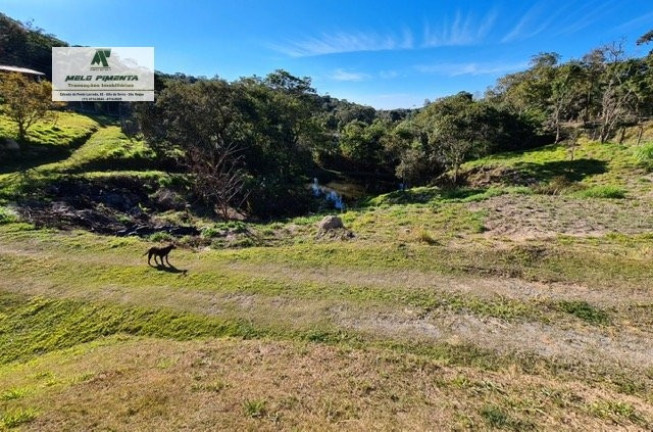 Imagem Chácara com 4 Quartos à Venda, 10.000 m² em Mailasqui - São Roque