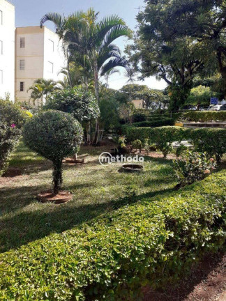 Imagem Apartamento com 2 Quartos à Venda, 62 m² em Conjunto Residencial Parque Bandeirantes - Campinas Imagem Apartamento com 2 Quartos à Venda, 62 m² em Conjunto Residencial Parque Bandeirantes - Campinas