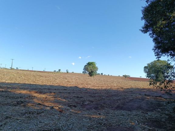 Imagem Chácara à Venda, 29 m² em Rural - Avaré Imagem Chácara à Venda, 29 m² em Rural - Avaré