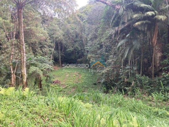 Imagem Terreno à Venda, 2.947 m² em Fazenda Inglesa - Petrópolis Imagem Terreno à Venda, 2.947 m² em Fazenda Inglesa - Petrópolis