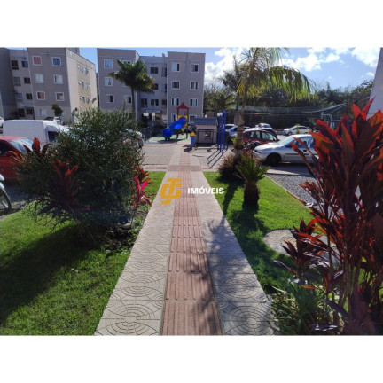 Imagem Apartamento com 2 Quartos à Venda, 50 m² em Rio Pequeno - Camboriú