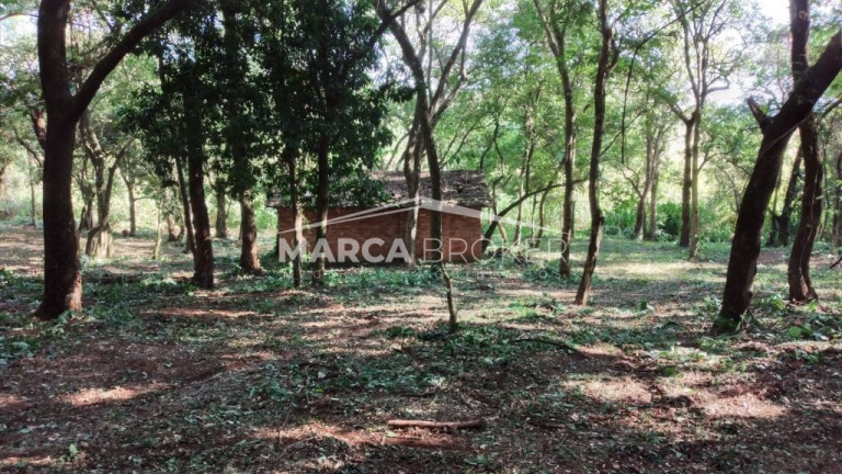 Imagem Fazenda à Venda, 35.000 m² em Floresta - Monte Santo De Minas Imagem Fazenda à Venda, 35.000 m² em Floresta - Monte Santo De Minas