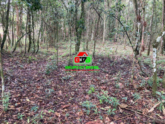 Imagem Chácara à Venda, 13 m² em São Francisco Xavier - São José Dos Campos Imagem Chácara à Venda, 13 m² em São Francisco Xavier - São José Dos Campos