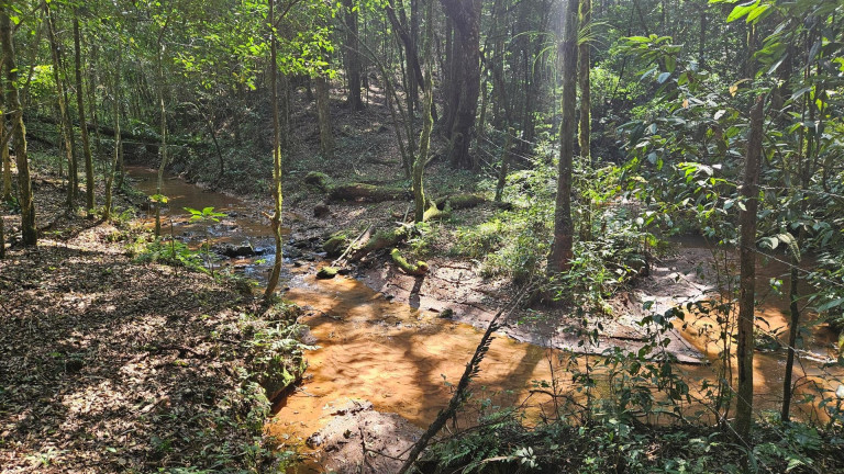 Imagem Fazenda à Venda, em Capela Velha - Araucaria Imagem Fazenda à Venda, em Capela Velha - Araucaria