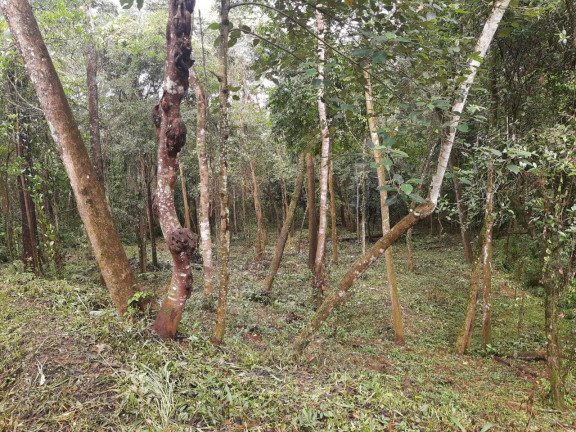 Imagem Terreno à Venda, 2 m² em Maracanã - Jarinu Imagem Terreno à Venda, 2 m² em Maracanã - Jarinu
