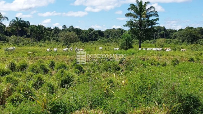 Imagem Imóvel à Venda, 300 m² em Plano Diretor Sul - Palmas Imagem Imóvel à Venda, 300 m² em Plano Diretor Sul - Palmas
