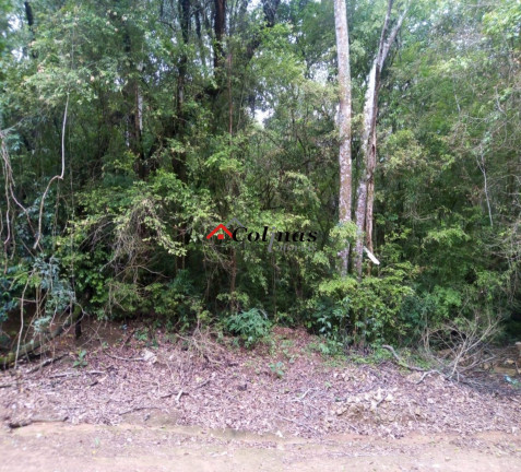 Imagem Terreno à Venda, em Depois Do Centro - Ibiúna Imagem Terreno à Venda, em Depois Do Centro - Ibiúna