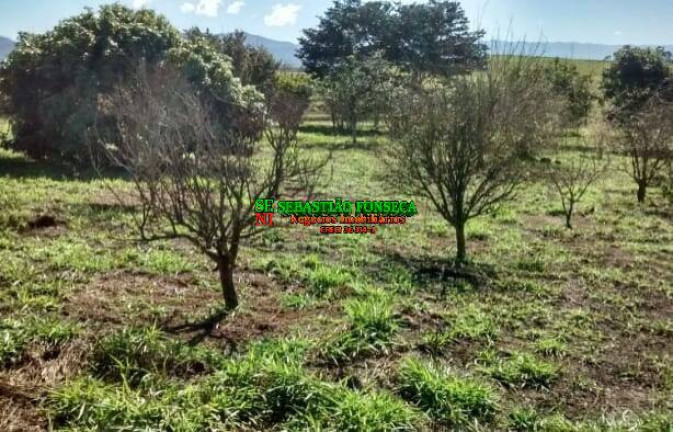 Imagem Chácara à Venda, 968.000 m² em Centro - Caçapava