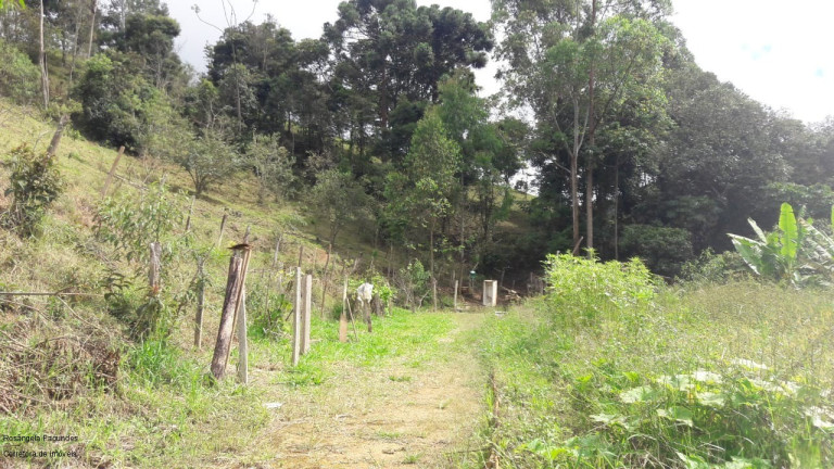 Imagem Imóvel com 3 Quartos à Venda, 140 m² em Laranjeiras De Caldas - Caldas