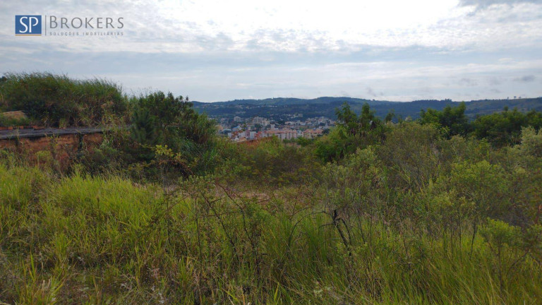 Imagem Terreno à Venda, 7.972 m² em Pinheirinho - Vinhedo