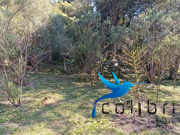 Imagem Chácara com 2 Quartos à Venda, 6.000 m² em Palmital - Agudos Do Sul