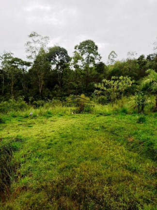 Imóvel à Venda, 20.000 m² em Rocinha - Guaratinguetá