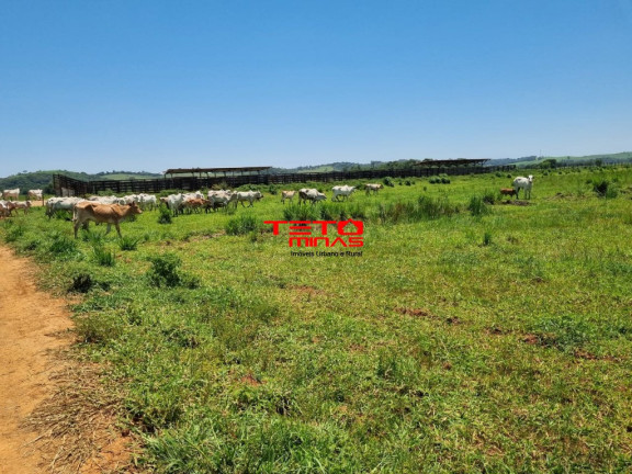 Imagem Imóvel à Venda, 175 m² em área Rural De Pouso Alegre - Pouso Alegre Imagem Imóvel à Venda, 175 m² em área Rural De Pouso Alegre - Pouso Alegre