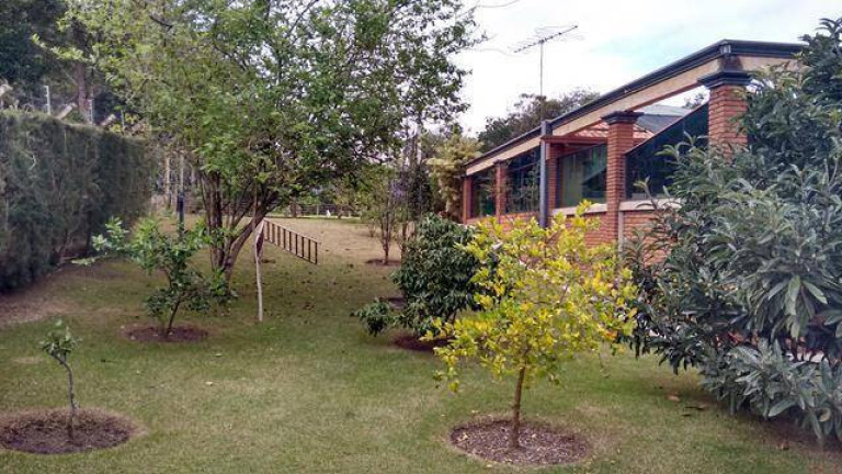 Imagem Chácara à Venda, 5.000 m² em Sarapuí Imagem Chácara à Venda, 5.000 m² em Sarapuí