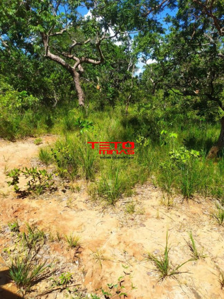 Imagem Imóvel à Venda, 700 m² em 3 Km Margeando Rio São Francisco - Três Marias Imagem Imóvel à Venda, 700 m² em 3 Km Margeando Rio São Francisco - Três Marias