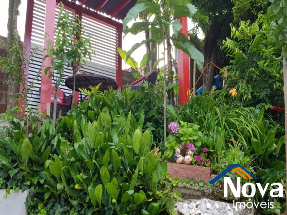 Imagem Imóvel com 3 Quartos à Venda,  em Piá - Nova Petrópolis