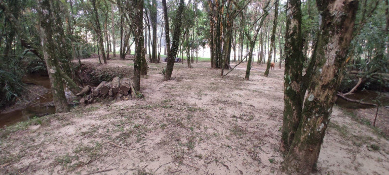 Imagem Chácara com 3 Quartos à Venda, 3.000 m² em Bugre - Balsa Nova