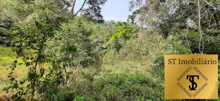 Imagem Chácara com 3 Quartos à Venda, 72.000 m² em Estância Santa Maria Do Portão - Atibaia Imagem Chácara com 3 Quartos à Venda, 72.000 m² em Estância Santa Maria Do Portão - Atibaia