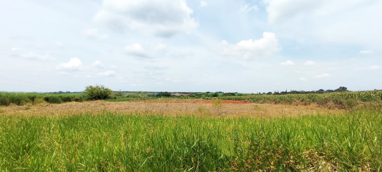 Imagem Terreno à Venda, 20.000 m² em área Rural De Iracemápolis - Iracemápolis Imagem Terreno à Venda, 20.000 m² em área Rural De Iracemápolis - Iracemápolis