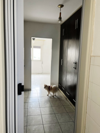 Imagem Imóvel com 3 Quartos à Venda, 98 m² em Cambuci - São Paulo