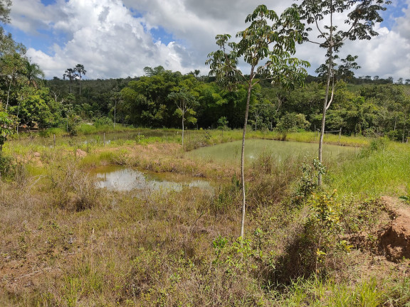 Imagem Imóvel com 3 Quartos à Venda, 210 m² em Zona Rural - Santa Cruz De Goias Imagem Imóvel com 3 Quartos à Venda, 210 m² em Zona Rural - Santa Cruz De Goias