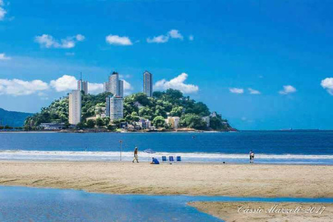Foto do imóvel Apartamento com 2 Quartos à Venda, 42 m² em Ilha Porchat - São Vicente