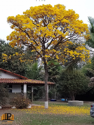 Imagem Imóvel com 3 Quartos à Venda, 600 m² em Altos De Itu - Itu