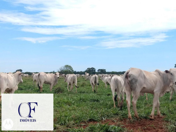 Imagem Fazenda à Venda, 3.097 m² em Rural - Chapadão Do Sul Imagem Fazenda à Venda, 3.097 m² em Rural - Chapadão Do Sul