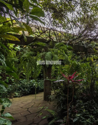 Imagem Casa com 5 Quartos à Venda, 445 m² em Jardim Paulista - São Paulo Imagem Casa com 5 Quartos à Venda, 445 m² em Jardim Paulista - São Paulo