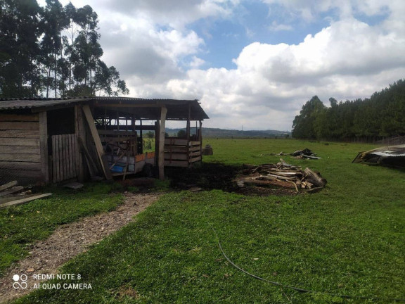 Terreno à Venda,  em Parque Das Araucárias - Piraquara
