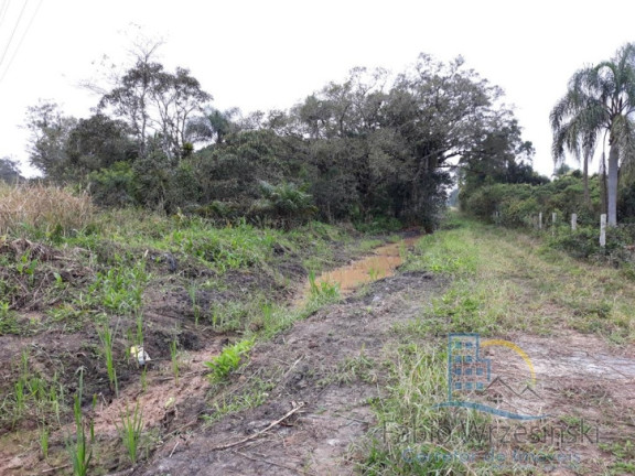 Imagem Terreno à Venda, 48.691 m² em Itinga - Araquari Imagem Terreno à Venda, 48.691 m² em Itinga - Araquari