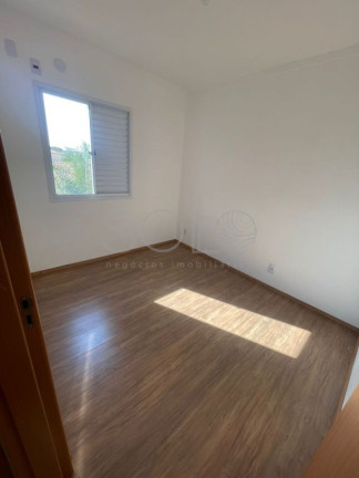 Imagem Apartamento com 2 Quartos para Alugar, 60 m² em Jardim Residencial Paraíso - Araraquara Imagem Apartamento com 2 Quartos para Alugar, 60 m² em Jardim Residencial Paraíso - Araraquara