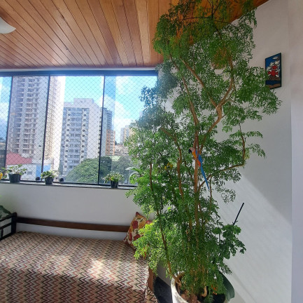 Imagem Imóvel com 3 Quartos à Venda, 164 m² em Centro - São Bernardo Do Campo