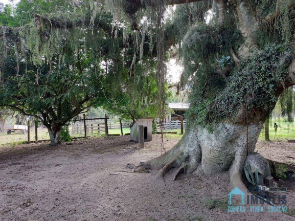 Imagem Chácara com 3 Quartos à Venda, 130.000 m² em Túnel Verde - Balneário Pinhal Imagem Chácara com 3 Quartos à Venda, 130.000 m² em Túnel Verde - Balneário Pinhal